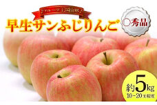 【先行予約 2025年度発送】♪フルーツ王国山形♪ 早生サンふじりんご 〇秀品 約5kg  りんご リンゴ 林檎 デザート フルーツ 果物 くだもの 果実 食品 山形県 FSY-1151