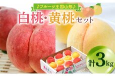 【先行予約 2025年度発送】♪フルーツ王国山形♪白桃・黄桃セット  もも モモ 桃 デザート フルーツ 果物 くだもの 果実 食品 山形県 FSY-1134