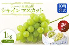 【先行予約 2025年度発送】♪フルーツ王国山形♪訳ありシャインマスカット1kg 10月発送  マスカット ぶどう ブドウ 葡萄 デザート フルーツ 果物 くだもの 果実 食品 山形県 FSY-1141