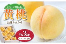 【先行予約 2025年度発送】♪フルーツ王国山形♪黄桃  もも モモ 桃 デザート フルーツ 果物 くだもの 果実 食品 山形県 FSY-1133