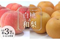 【先行予約 2025年度発送】♪フルーツ王国山形♪白桃・和梨セット  メロン デザート フルーツ 果物 くだもの 果実 食品 山形県 FSY-1135