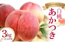 【先行予約 2025年度発送】♪フルーツ王国山形♪白桃（あかつき）  もも モモ 桃 デザート フルーツ 果物 くだもの 果実 食品 山形県 FSY-1127