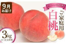 【先行予約 2025年度発送】♪フルーツ王国山形♪ご家庭用白桃９月お届け  もも モモ 桃 デザート フルーツ 果物 くだもの 果実 食品 山形県 FSY-1129