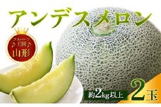 【先行予約 2025年度発送】♪フルーツ王国山形♪アンデスメロン  スイカ すいか 西瓜 デザート フルーツ 果物 くだもの 果実 食品 山形県 FSY-1125
