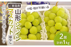 《小房・粒が不揃い品》ご家庭用 山形シャインマスカット ぶどう 2房 約1kg【2024年9月から発送】  マスカット ブドウ 葡萄 デザート フルーツ 果物 くだもの 果実 食品 山形県 FSY-1053