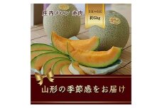 山形県庄内産 メロン 3玉入～5玉入 約5kg 赤肉 《品種の指定はできません》【2025年6月から発送】  赤肉メロン デザート フルーツ 果物 くだもの 果実 食品 山形県 FSY-1066