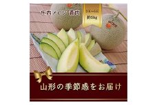 山形県庄内産 メロン 3玉入～5玉入 約5kg 緑肉 《品種の指定はできません》【2025年6月から発送】  青肉メロン 青肉 デザート フルーツ 果物 くだもの 果実 食品 山形県 FSY-1067
