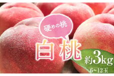 《2025年産先行受付》 山形県産 白桃 秀品 約3kg 品種おまかせ 硬めの桃 あまり柔らかくならない桃  もも モモ 桃 デザート フルーツ 果物 くだもの 果実 食品 山形県 FSY-1195