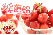 《2026年産先行受付》 山形県産 さくらんぼ＜佐藤錦＞秀品 約800g Lサイズ 200g×4パック FSY-1196