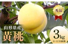 【2025年産 先行予約】山形県産 黄桃 秀品3kg（8～12玉前後）  もも モモ 桃 デザート フルーツ 果物 くだもの 果実 食品 山形県 FSY-2203