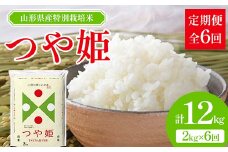 山形県産 特別栽培米 つや姫 2kg 全6回定期便  米 お米 ブランド米 銘柄米 備蓄 日本米 コメ ごはん ご飯 食品 山形県 F2Y-3734