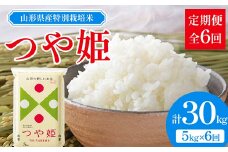 山形県産 特別栽培米 つや姫 5kg 全6回定期便  米 お米 ブランド米 銘柄米 備蓄 日本米 コメ ごはん ご飯 食品 山形県 F2Y-3736