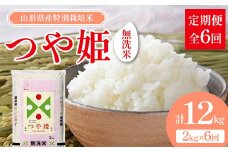 山形県産 特別栽培米 無洗米 つや姫 2kg（BG無洗米） 全6回定期便  米 お米 防災 備蓄 災害対策 コメ ごはん ご飯 食品 山形県 F2Y-3739