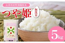 【先行予約 2024年10月発送】山形県産 特別栽培米 無洗米 つや姫 5kg（BG無洗米） F2Y-3916