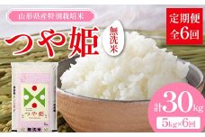 山形県産 特別栽培米 無洗米 つや姫 5kg（BG無洗米） 全6回定期便  米 お米 防災 備蓄 災害対策 コメ ごはん ご飯 食品 山形県 F2Y-3742