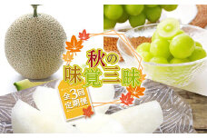 《先行予約 2025年度発送》 秋の味覚三昧 3回定期便  青肉メロン メロン 青肉 デザート フルーツ 果物 くだもの 果実 食品 山形県 FSY-1164