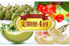 【先行予約 2024年度発送】♪フルーツ王国山形特選品♪定期便4回 FSY-1104