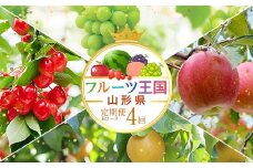 【先行予約 2025年度発送】♪フルーツ王国山形♪ 定期便4回 Bコース FSY-1841
