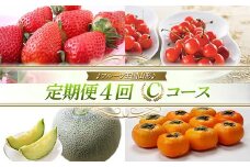 【先行予約 2025年度発送】♪フルーツ王国山形♪ 定期便4回 Cコース FSY-1842