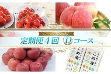 【先行予約 2024年度発送】♪フルーツ王国山形♪ 定期便4回 Dコース FSY-1109