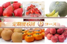 【先行予約 2025年度発送】♪フルーツ王国山形♪ 定期便6回 Bコース FSY-1844