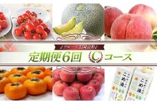 【先行予約 2024年度発送】♪フルーツ王国山形♪ 定期便6回 Cコース FSY-1113