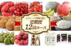 【先行予約 2024年度発送】♪フルーツ王国山形♪ 定期便12回コース FSY-1114