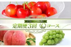 【先行予約 2025年度発送】♪フルーツ王国山形♪ 定期便3回 Cコース FSY-1845