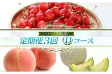【先行予約 2025年度発送】♪フルーツ王国山形♪ 定期便3回 Dコース FSY-1116