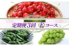 【先行予約 2025年度発送】♪フルーツ王国山形♪ 定期便3回 Eコース FSY-1117