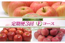 【先行予約 2025年度発送】♪フルーツ王国山形♪ 定期便3回 Fコース  りんご リンゴ 林檎 デザート フルーツ 果物 くだもの 果実 食品 山形県 FSY-1846