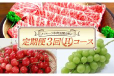 【先行予約 2024年度発送】♪フルーツ牛肉王国山形♪定期便3回 Hコース FSY-1120