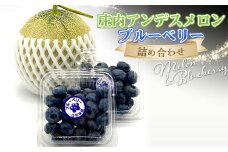【令和8年発送】期間限定 庄内アンデスメロンとブルーベリー詰め合わせ FSY-2385