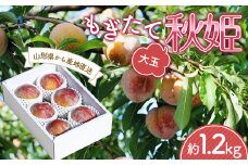 【先行受付 令和7年度発送】山形 もぎたて大玉秋姫（すもも）約1.2kg  フルーツ 果物 くだもの 果実 食品 山形県 FSY-1209