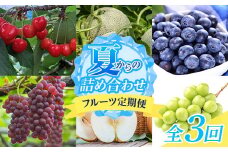 【令和8年度発送】晩夏 夏からの詰め合わせ フルーツ定期便 3回 FSY-2372