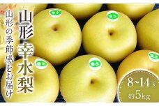 幸水梨　約8玉～約14玉 約5kg 【2025年8月から発送】  なし ナシ 梨 デザート フルーツ 果物 くだもの 果実 食品 山形県 FSY-1073