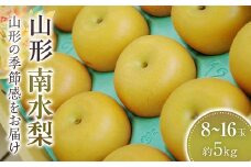 南水梨 約8玉～約16玉 約5kg 【2025年9月から発送】  なし ナシ 梨 デザート フルーツ 果物 くだもの 果実 食品 山形県 FSY-1074