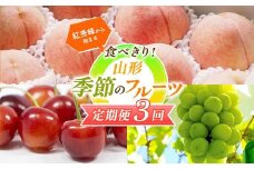 【2026年先行予約 定期便3回】 紅秀峰から始まる 食べきり！季節のフルーツ定期便 FSY-2320