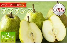 【先行予約 2025年度発送】♪フルーツ王国山形♪ラ・フランス  なし ナシ 梨 デザート フルーツ 果物 くだもの 果実 食品 山形県 FSY-1894