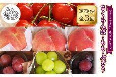 【先行予約 2026年度発送】《食べきりシリーズ》～さくらんぼ・もも・ぶどう～ FSY-2330