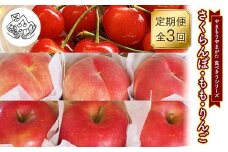 【先行予約 2026年度発送】《食べきりシリーズ》～さくらんぼ・もも・りんご～ FSY-2336