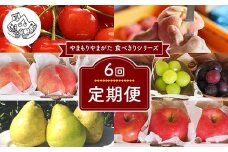 【先行予約 2026年度発送】《食べきりシリーズ》～6回定期便～ FSY-2337