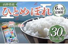 【定期便】山形県産 ひとめぼれ 5kg×6ヶ月連続（計30kg） F2Y-4094