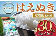 【定期便】山形県産 はえぬき 5kg×6ヶ月連続（計30kg） F2Y-4095