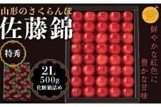 《先行予約》贈答用 2024年 山形県産 さくらんぼ 佐藤錦 特秀2L 化粧詰 500g F2Y-5630