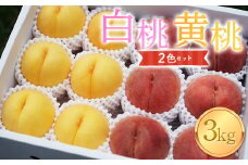 ≪先行予約≫2024年度発送 山形県産 白桃・黄桃/品種おまかせ 2色セット 3kg箱 満杯詰め(8個～14個入り)  もも モモ 桃 デザート フルーツ 果物 くだもの 果実 食品 山形県 FSY-1101