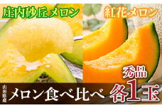 《令和7年度発送》希少【庄内砂丘メロン】夏ギフト 紅花メロン（赤肉）とアンデスメロン（青肉）【みちのくギフト】  メロン デザート フルーツ 果物 くだもの 果実 食品 山形県 FSY-0035