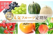 《2026年先行予約》山形産直 人気フルーツ定期便 全5回 FSY-2362