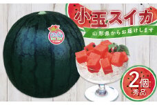 【令和7年7月発送】山形県 小玉西瓜 2個入り FSY-1156