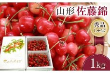 【さくらんぼ令和7年6月発送】山形県 佐藤錦 500g×2パック箱入り合計1kg FSY-1155